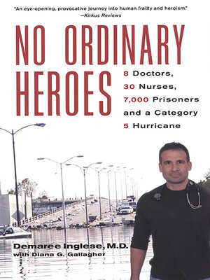 cover image of No Ordinary Heroes